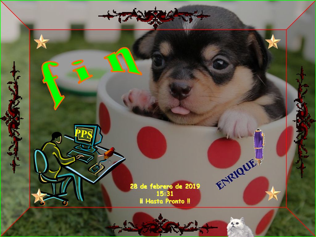 f i n PPS 28 de febrero de :31 ¡¡ Hasta Pronto !!