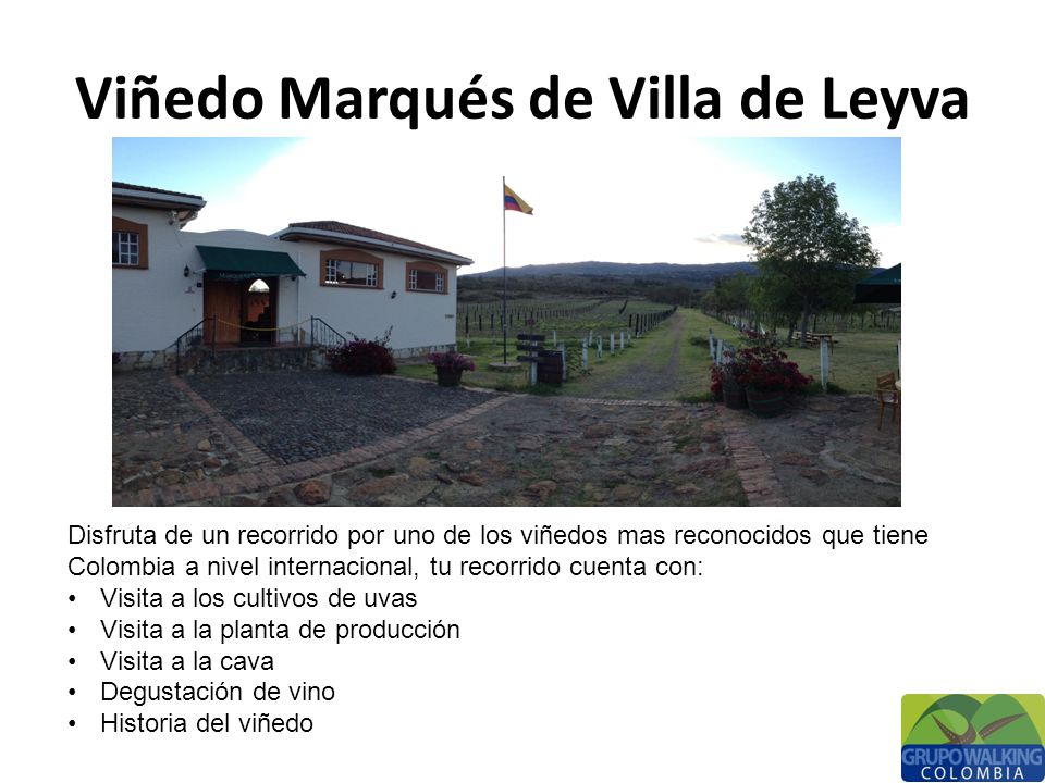 Viñedo Marqués de Villa de Leyva