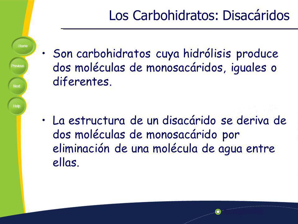 Los Carbohidratos: Disacáridos
