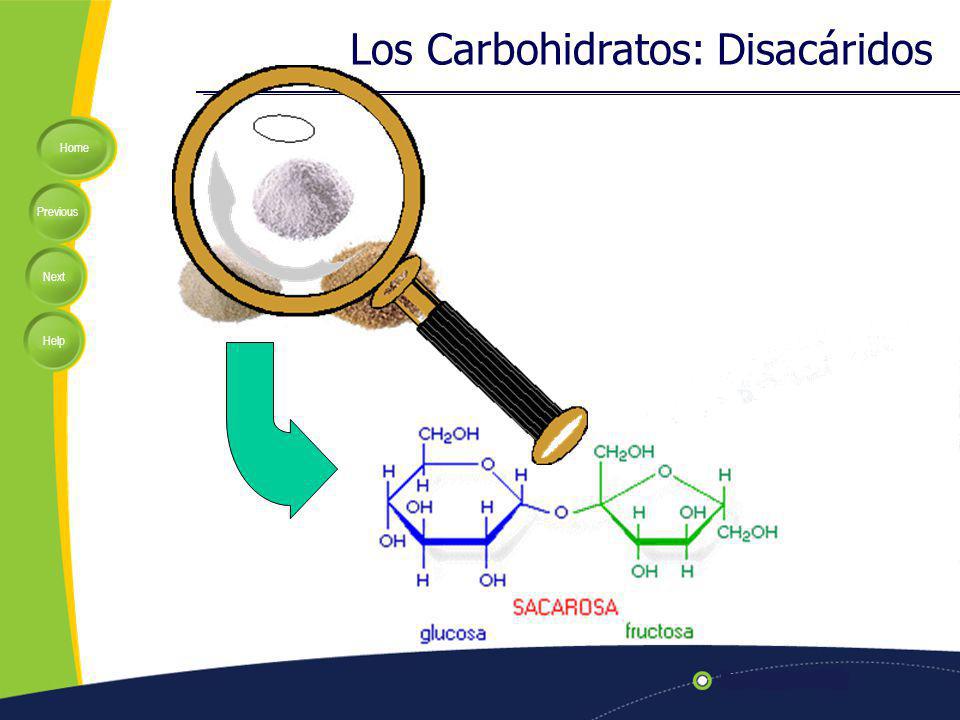 Los Carbohidratos: Disacáridos