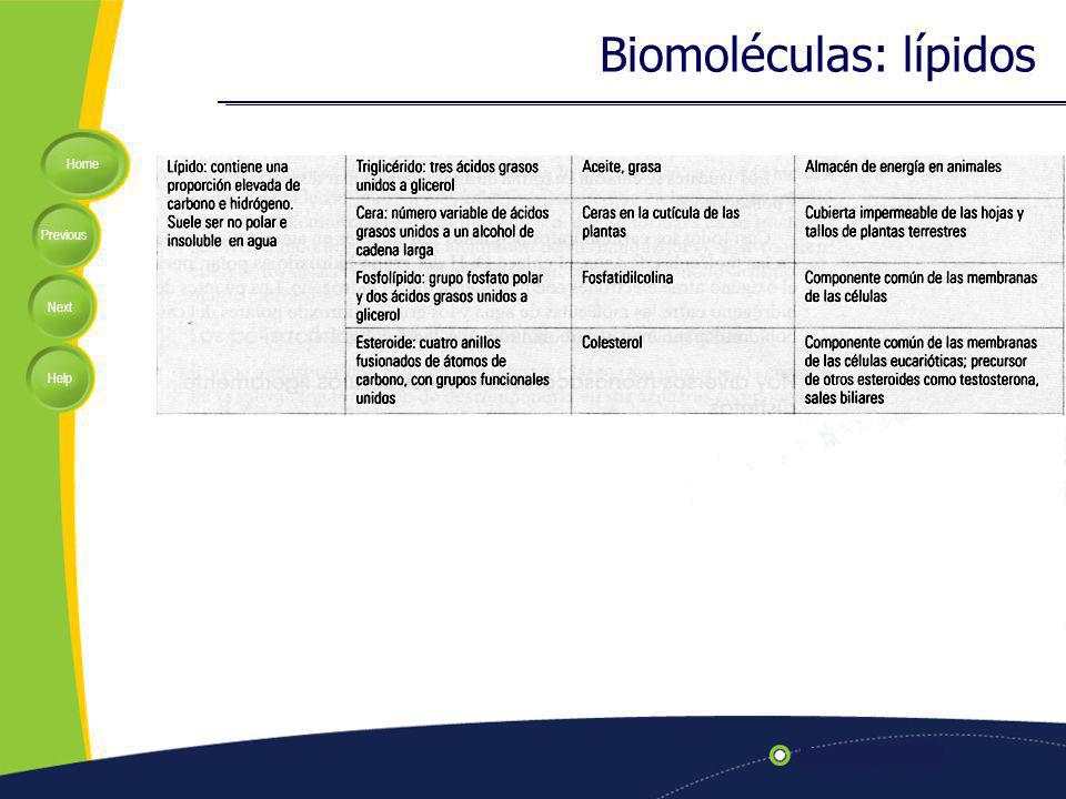 Biomoléculas: lípidos