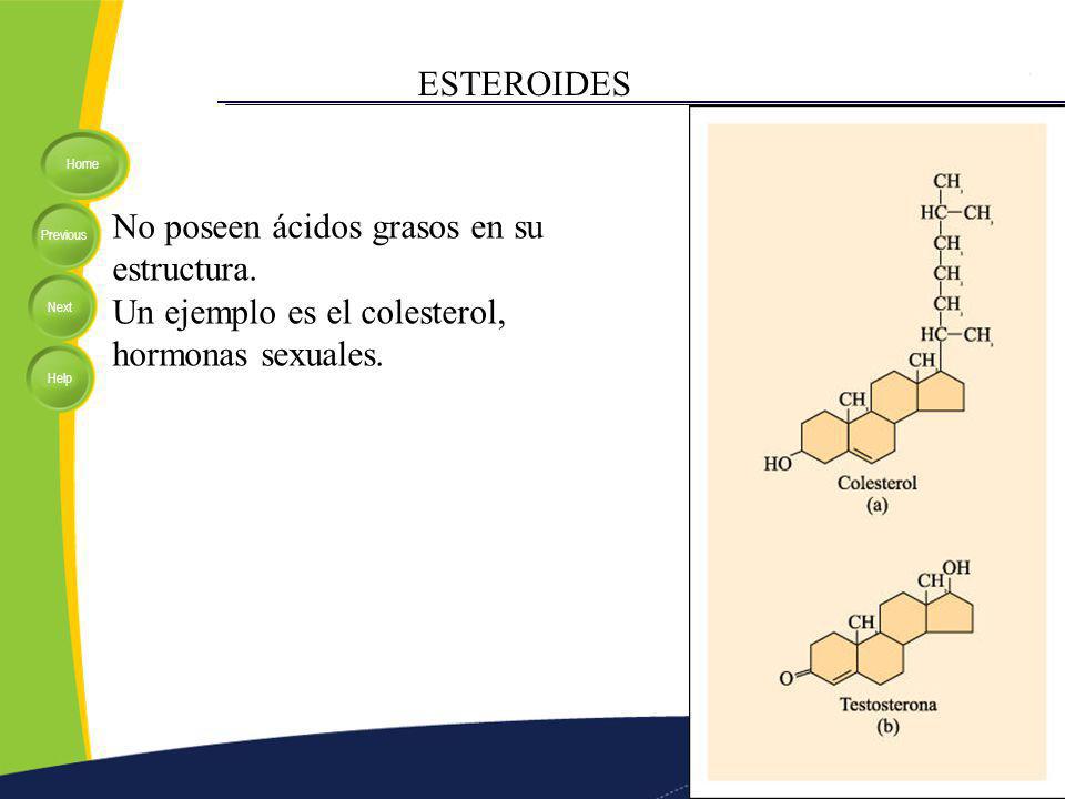 ESTEROIDES No poseen ácidos grasos en su estructura.