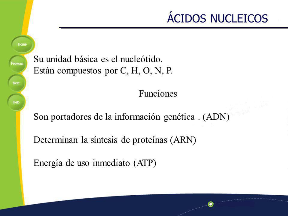 ÁCIDOS NUCLEICOS Su unidad básica es el nucleótido.