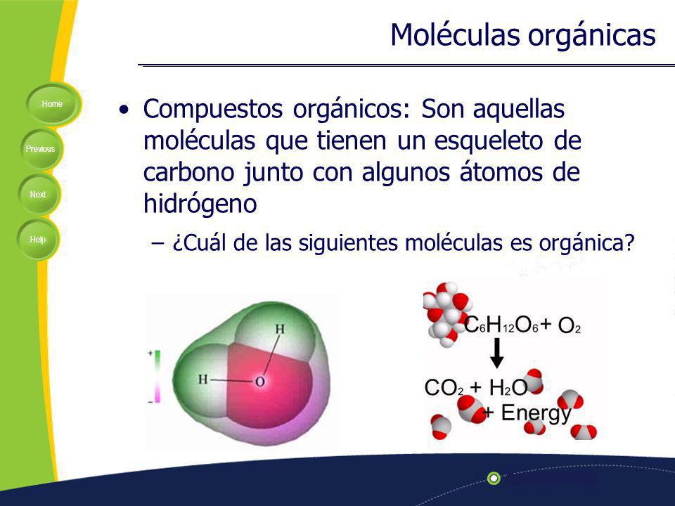 Moléculas orgánicas Compuestos orgánicos: Son aquellas moléculas que tienen un esqueleto de carbono junto con algunos átomos de hidrógeno.