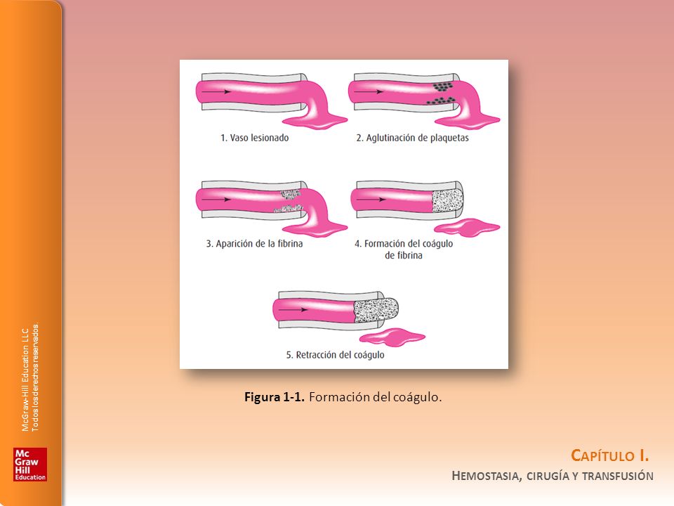 Figura 1-1. Formación del coágulo.