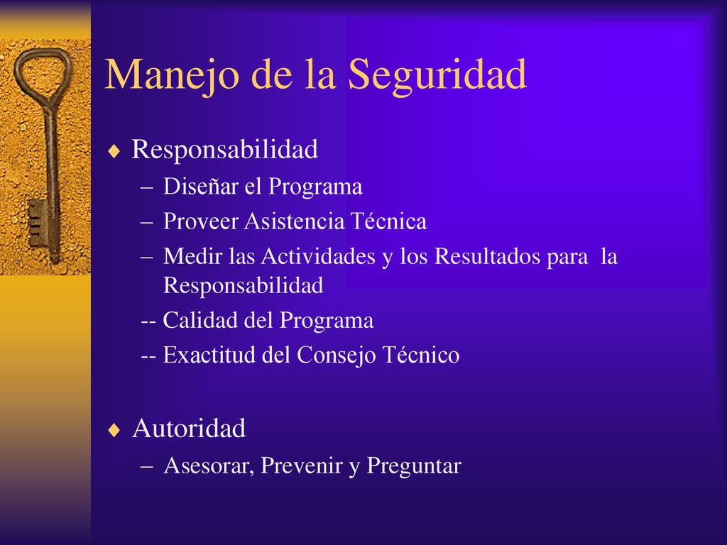 Manejo de la Seguridad Responsabilidad Autoridad Diseñar el Programa
