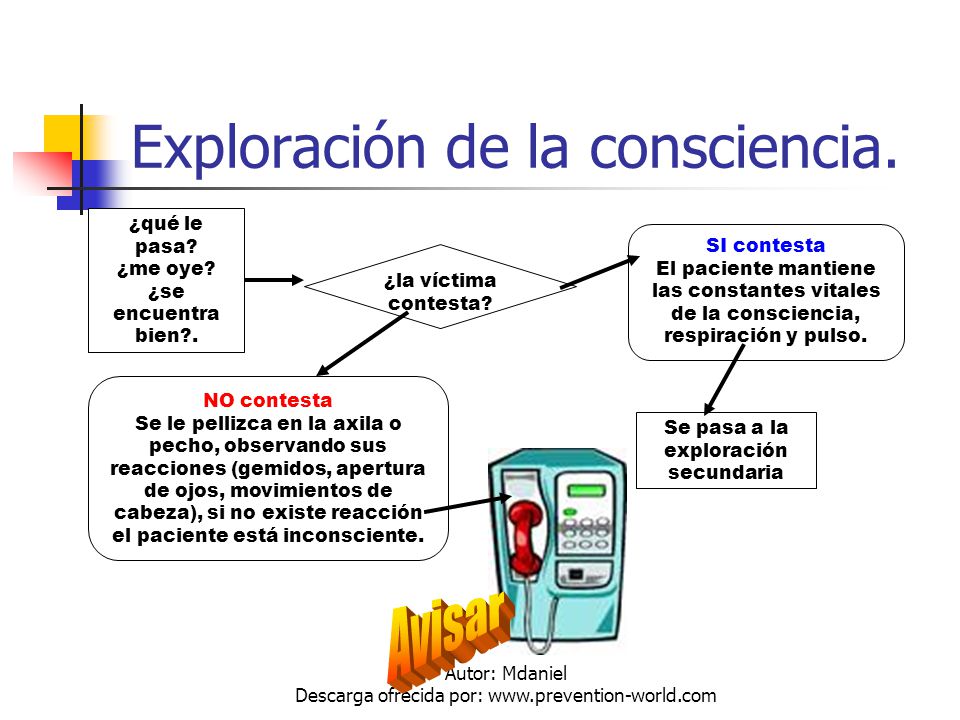 Exploración de la consciencia.