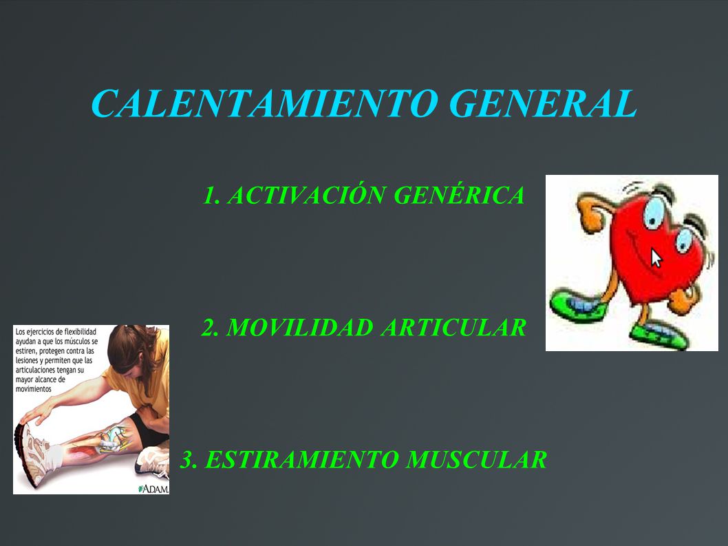CALENTAMIENTO GENERAL 3. ESTIRAMIENTO MUSCULAR