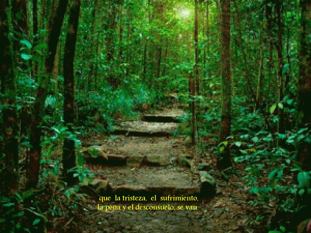 que la tristeza, el sufrimiento, la pena y el desconsuelo, se van.