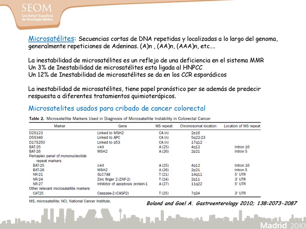 Microsatelites usados para cribado de cancer colorectal