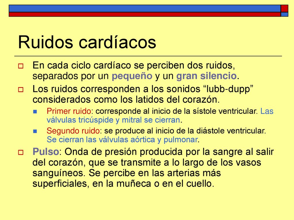 Ruidos cardíacos En cada ciclo cardíaco se perciben dos ruidos, separados por un pequeño y un gran silencio.