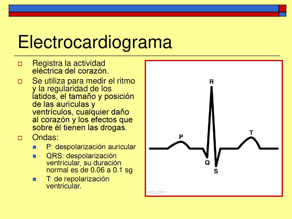 Electrocardiograma Registra la actividad eléctrica del corazón.