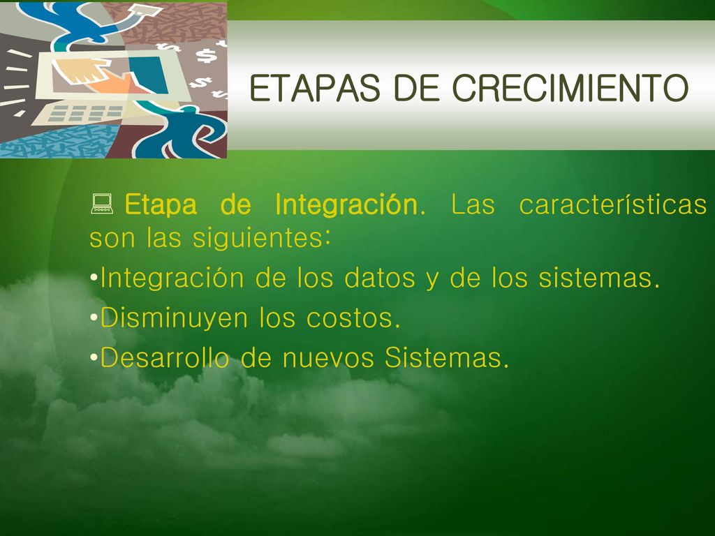 ETAPAS DE CRECIMIENTO Etapa de Integración. Las características son las siguientes: Integración de los datos y de los sistemas.