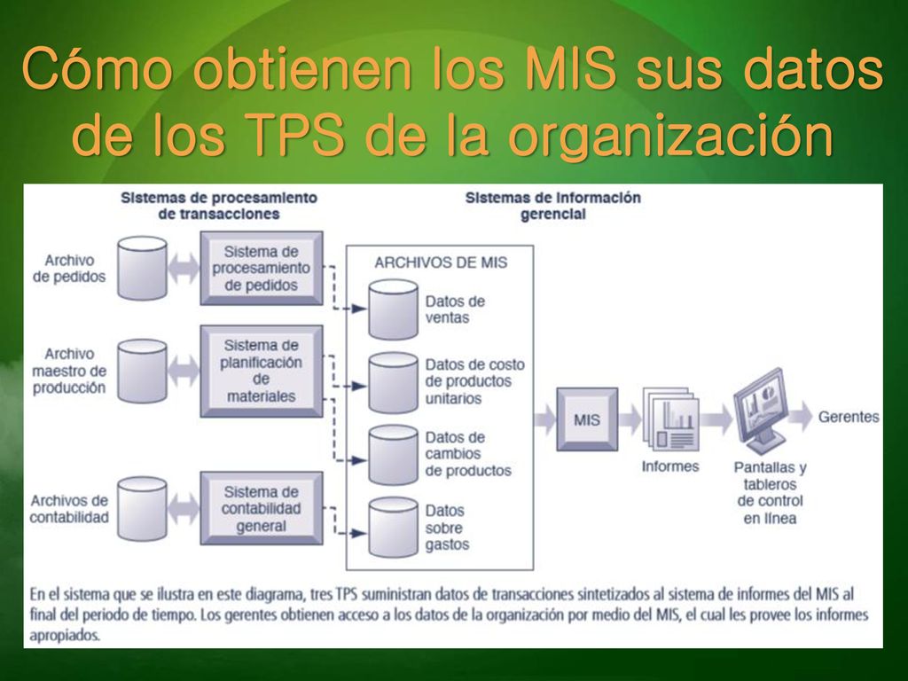 Cómo obtienen los MIS sus datos de los TPS de la organización