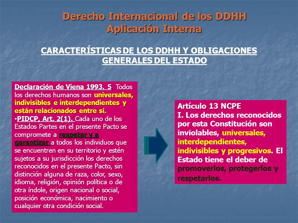 Derecho Internacional de los DDHH Aplicación Interna