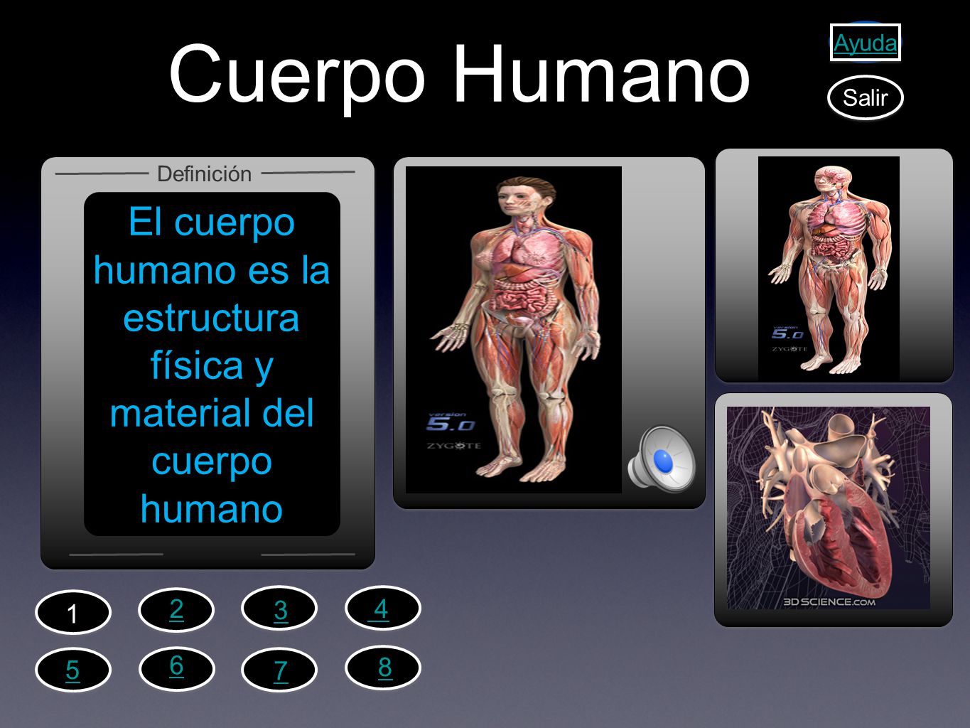 El cuerpo humano es la estructura física y material del cuerpo humano