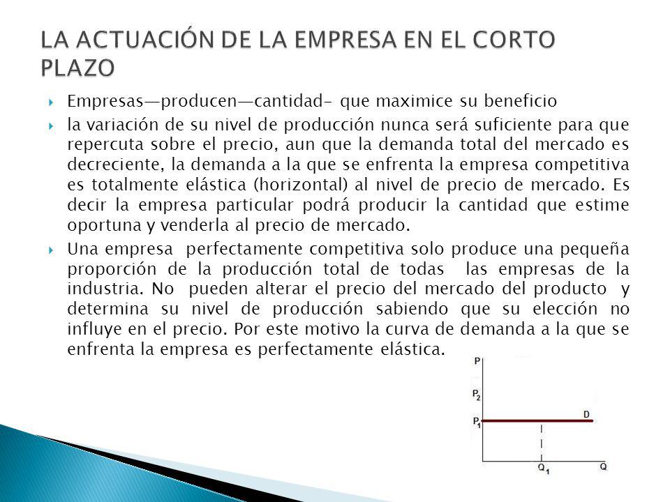 LA ACTUACIÓN DE LA EMPRESA EN EL CORTO PLAZO