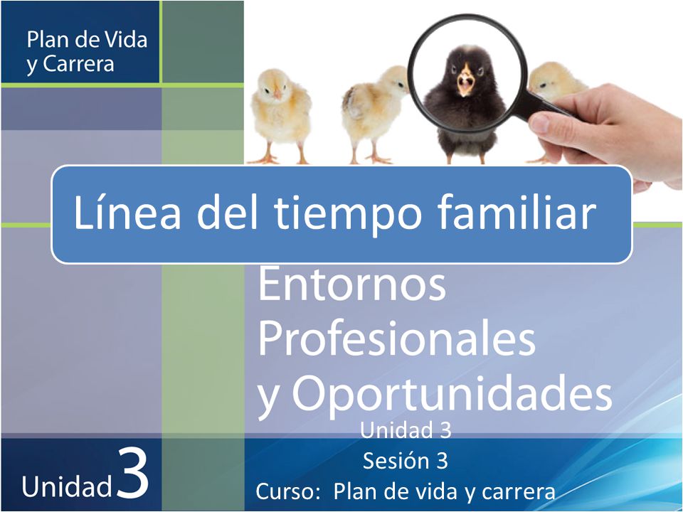 Unidad 3 Sesión 3 Curso: Plan de vida y carrera