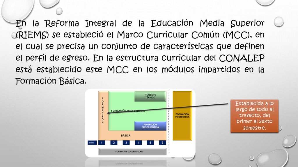 En la Reforma Integral de la Educación Media Superior (RIEMS) se estableció el Marco Curricular Común (MCC), en el cual se precisa un conjunto de características que definen el perfil de egreso. En la estructura curricular del CONALEP está establecido este MCC en los módulos impartidos en la Formación Básica.