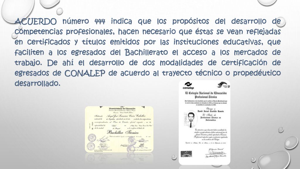 ACUERDO número 444 indica que los propósitos del desarrollo de competencias profesionales, hacen necesario que éstas se vean reflejadas en certificados y títulos emitidos por las instituciones educativas, que faciliten a los egresados del Bachillerato el acceso a los mercados de trabajo.