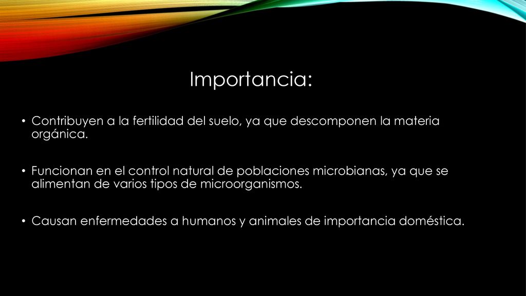 Importancia: Contribuyen a la fertilidad del suelo, ya que descomponen la materia orgánica.