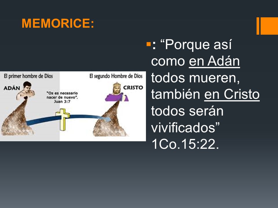MEMORICE: : Porque así como en Adán todos mueren, también en Cristo todos serán vivificados 1Co.15:22.