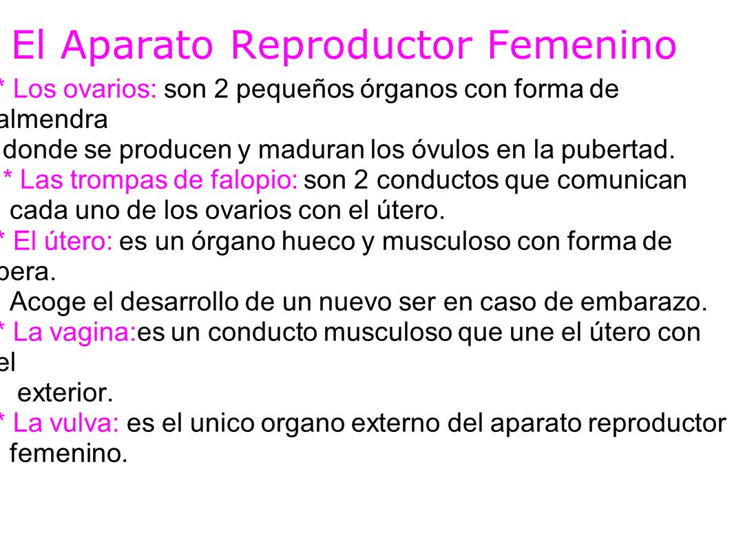 El Aparato Reproductor Femenino