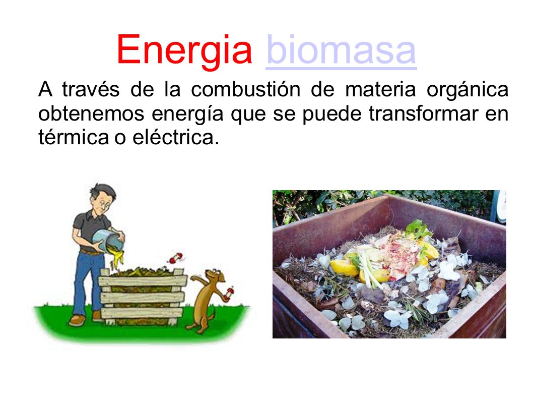 Energia biomasa A través de la combustión de materia orgánica obtenemos energía que se puede transformar en térmica o eléctrica.