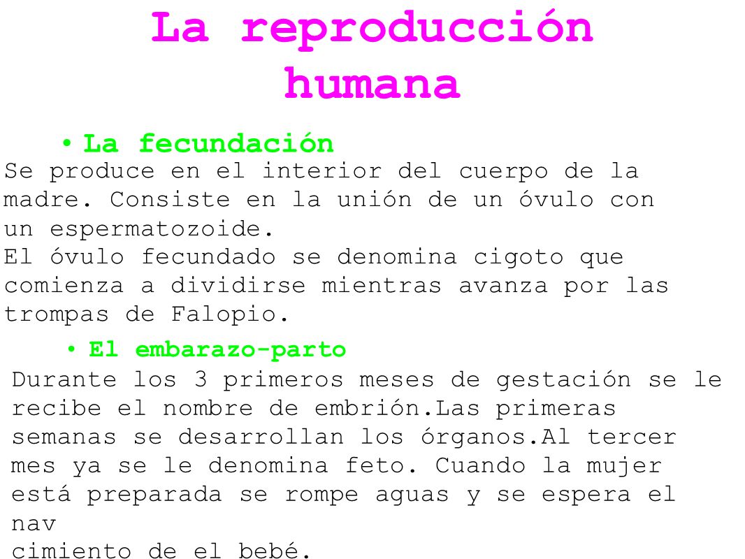 La reproducción humana