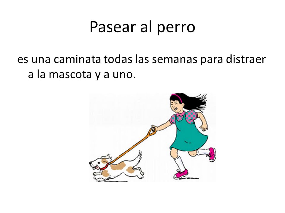 Pasear al perro es una caminata todas las semanas para distraer a la mascota y a uno.