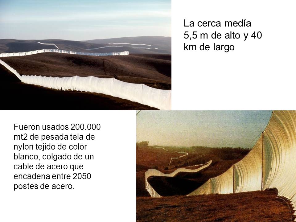 La cerca medía 5,5 m de alto y 40 km de largo