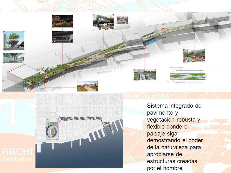 Sistema integrado de pavimento y vegetación robusta y flexible donde el paisaje siga demostrando el poder de la naturaleza para apropiarse de estructuras creadas por el hombre