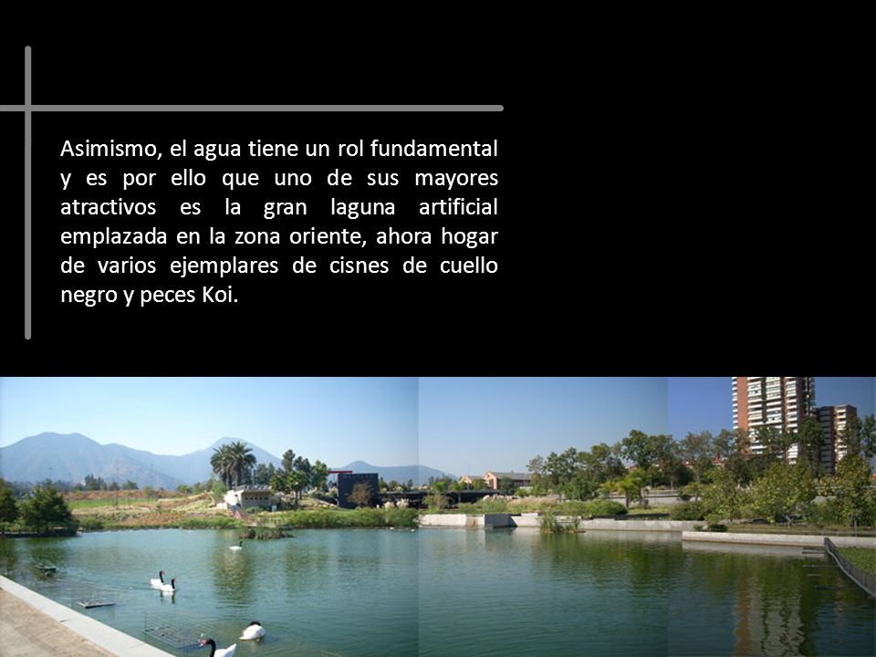 Asimismo, el agua tiene un rol fundamental y es por ello que uno de sus mayores atractivos es la gran laguna artificial emplazada en la zona oriente, ahora hogar de varios ejemplares de cisnes de cuello negro y peces Koi.