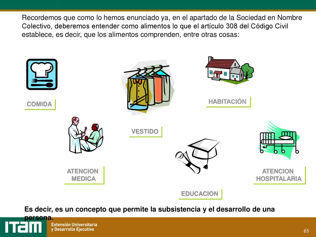 Recordemos que como lo hemos enunciado ya, en el apartado de la Sociedad en Nombre Colectivo, deberemos entender como alimentos lo que el artículo 308 del Código Civil establece, es decir, que los alimentos comprenden, entre otras cosas: