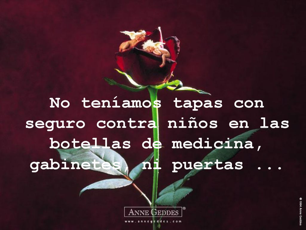 No teníamos tapas con seguro contra niños en las botellas de medicina, gabinetes, ni puertas ...
