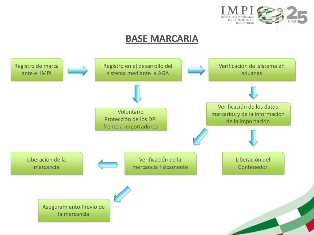 BASE MARCARIA Registro de marca ante el IMPI