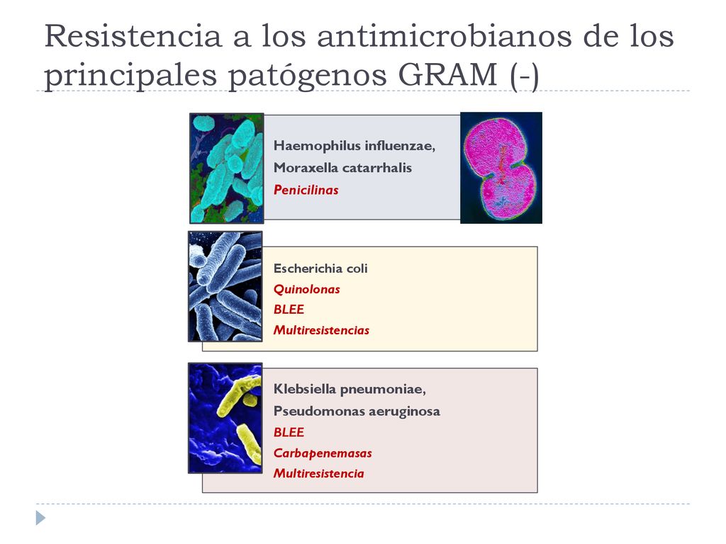Resistencia a los antimicrobianos de los principales patógenos GRAM (-)