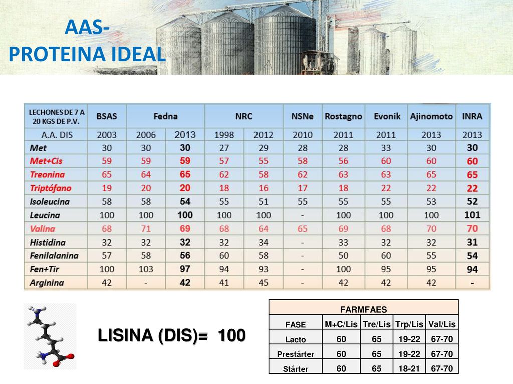 AAS- PROTEINA IDEAL LISINA (DIS)= 100 FARMFAES M+C/Lis Tre/Lis Trp/Lis