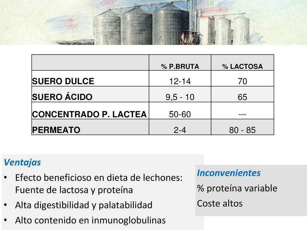 Efecto beneficioso en dieta de lechones: Fuente de lactosa y proteína