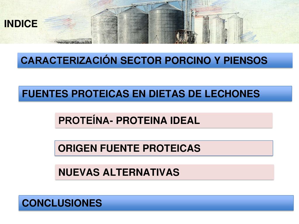 INDICE CARACTERIZACIÓN SECTOR PORCINO Y PIENSOS. FUENTES PROTEICAS EN DIETAS DE LECHONES. PROTEÍNA- PROTEINA IDEAL.