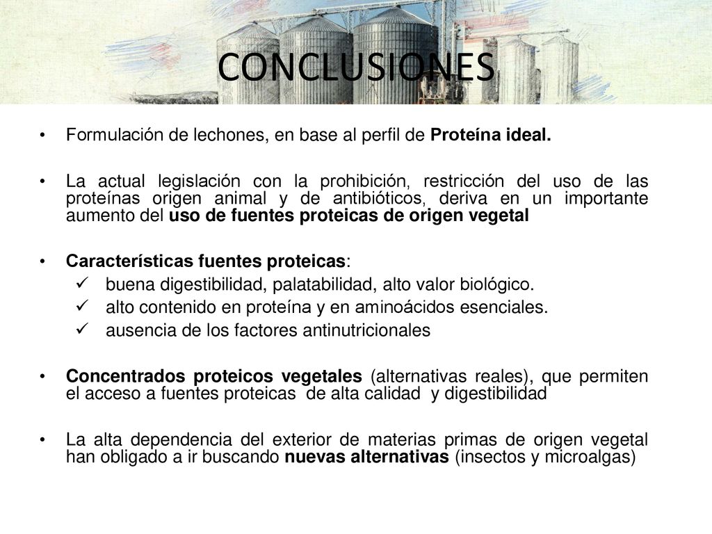 CONCLUSIONES Formulación de lechones, en base al perfil de Proteína ideal.