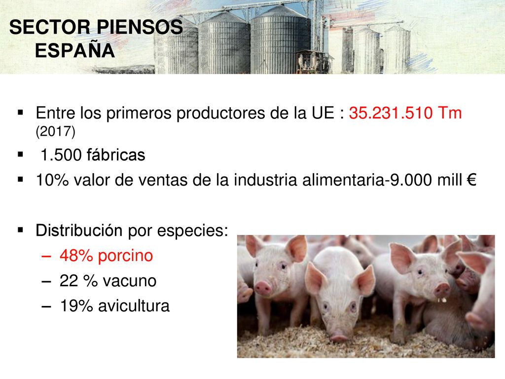 SECTOR PIENSOS ESPAÑA Entre los primeros productores de la UE : Tm (2017) fábricas.