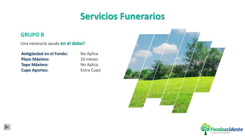 Servicios Funerarios GRUPO B Una necesaria ayuda en el dolor!
