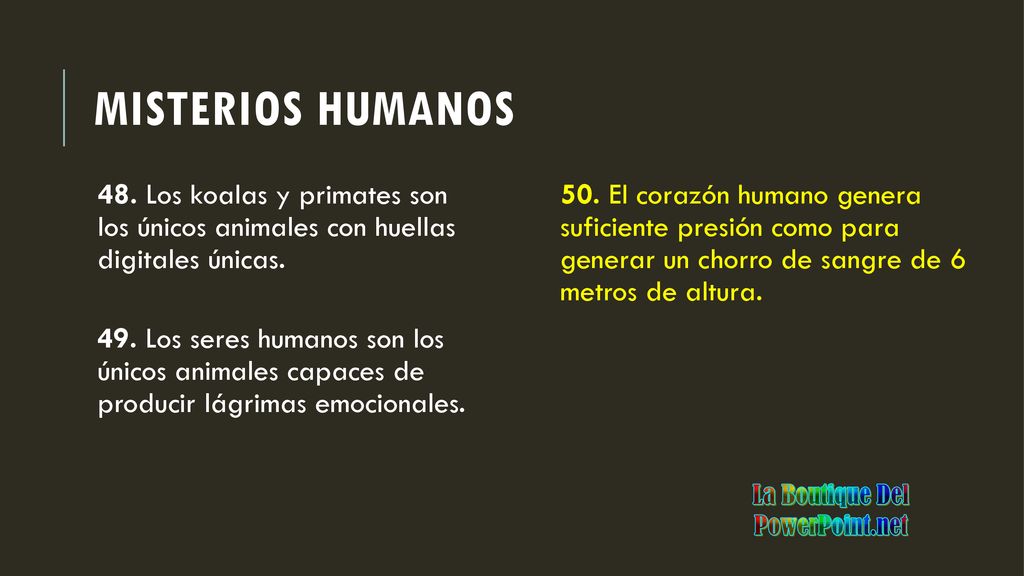 Misterios humanos 48. Los koalas y primates son los únicos animales con huellas digitales únicas.