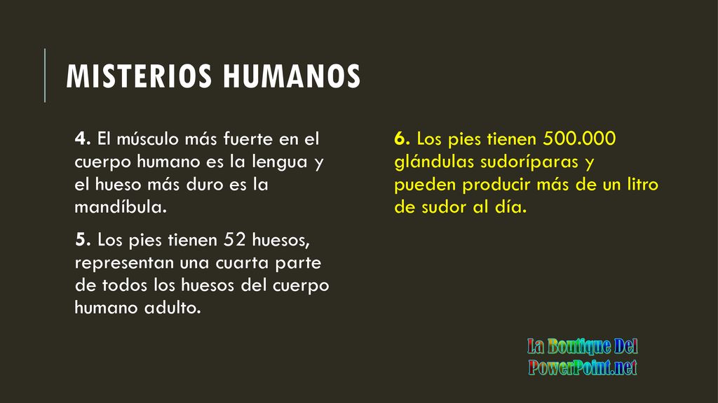 Misterios humanos 4. El músculo más fuerte en el cuerpo humano es la lengua y el hueso más duro es la mandíbula.