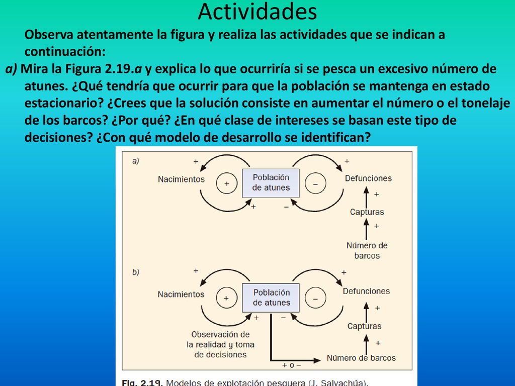 Actividades Observa atentamente la figura y realiza las actividades que se indican a continuación: