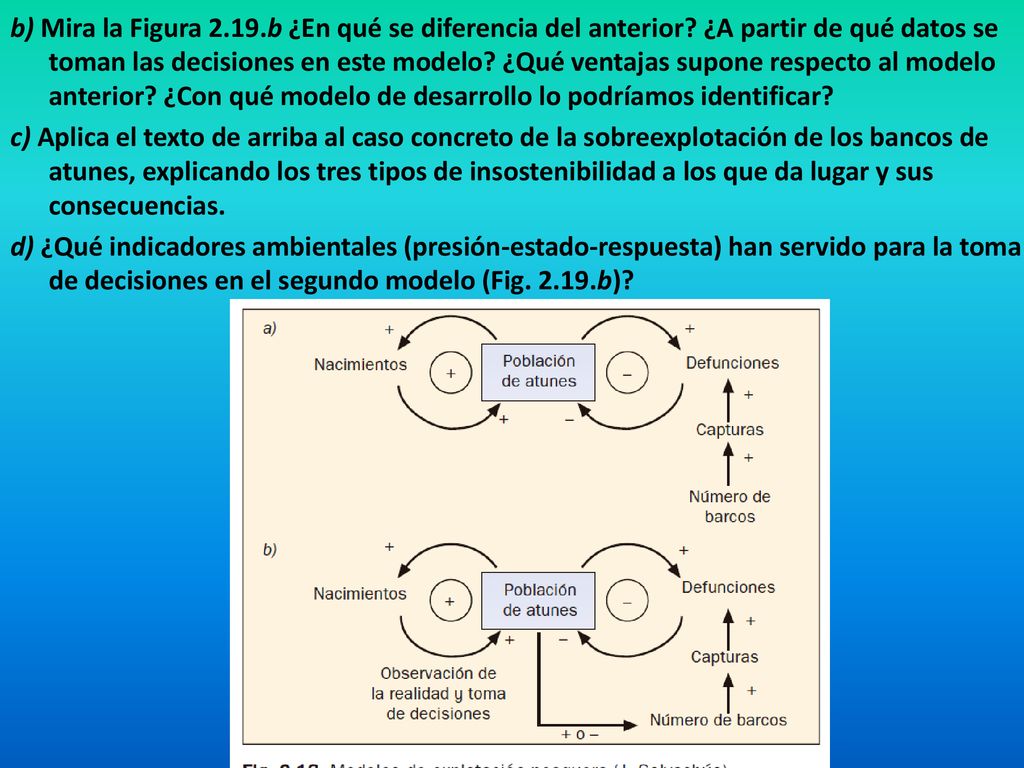 b) Mira la Figura b ¿En qué se diferencia del anterior