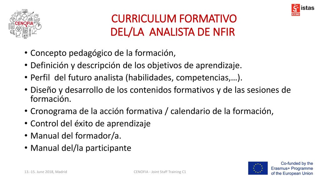 CURRICULUM FORMATIVO DEL/LA ANALISTA DE NFIR