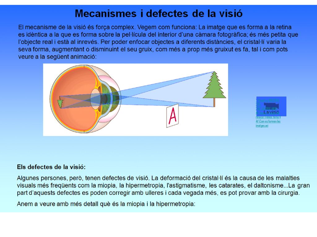 \\Argo1\p\MESTRES \GLÒRIA\MEDI 4t\Tema 4 funció de relació\Videos tema 4 4t\Com es formen les imatges.avi