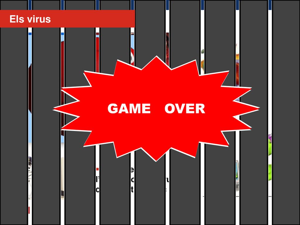 8 Els virus GAME OVER Poden entrar a l’ordinador i destruir el contingut del disc dur 8